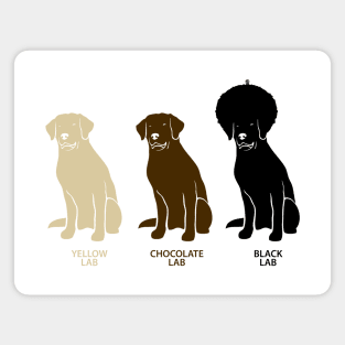 BLACK LABRADOR RETRIEVER Magnet